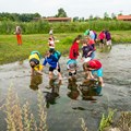 Bei der Bachsafari erfahren Kinder, wie spannend der Lebensraum Gewässer ist. - Foto: Daniel Beiter, Bezirk Schwaben