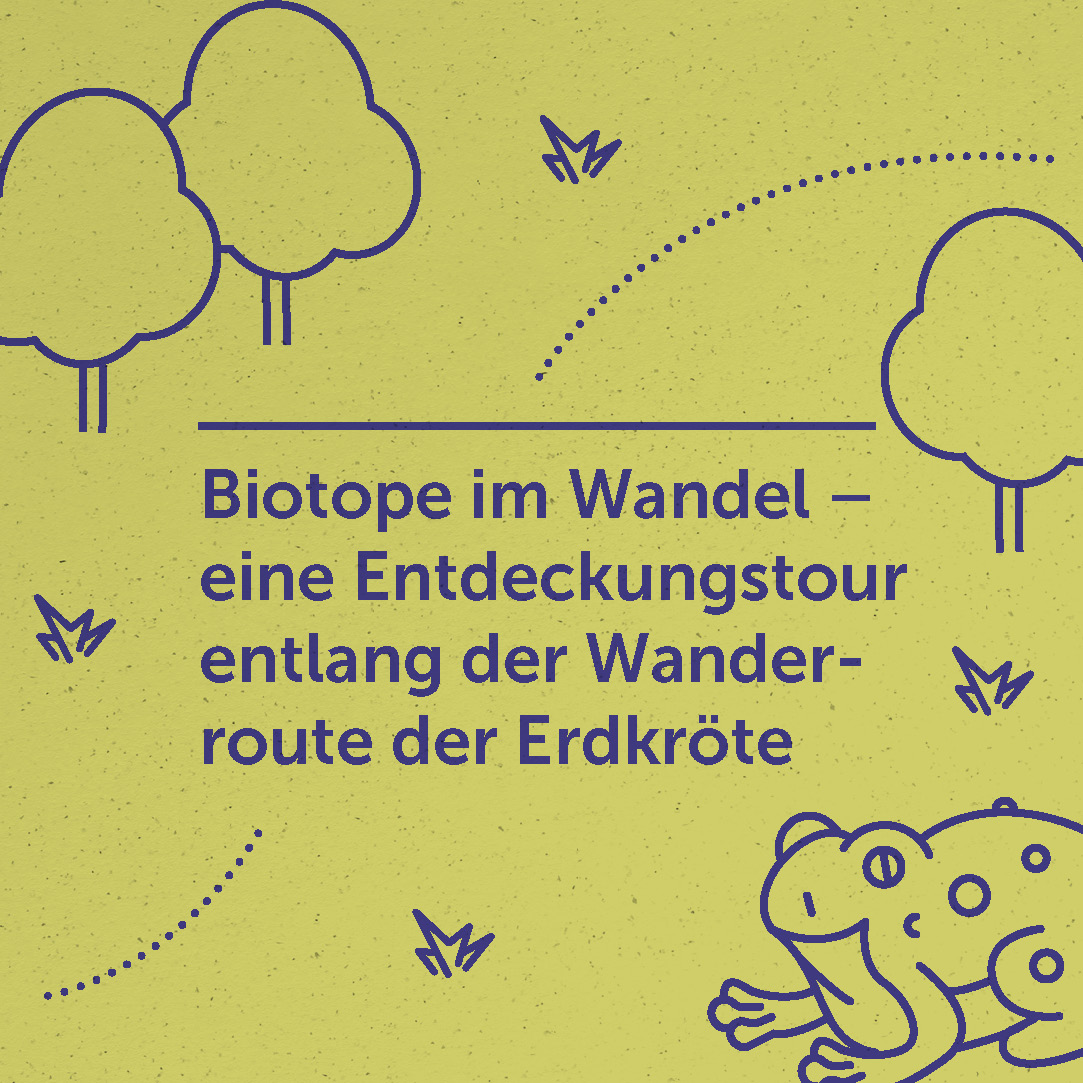 Biotope im Wandel – eine Entdeckungstour entlang der Wanderroute der Erdkröte