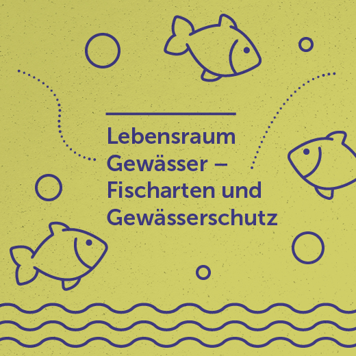 Lebensraum Gewässer – Fischarten und Gewässerschutz