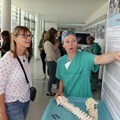 Arbeitsplatz in der Neurochirurgie - Foto: Georg Schalk, Bezirkskliniken Schwaben
