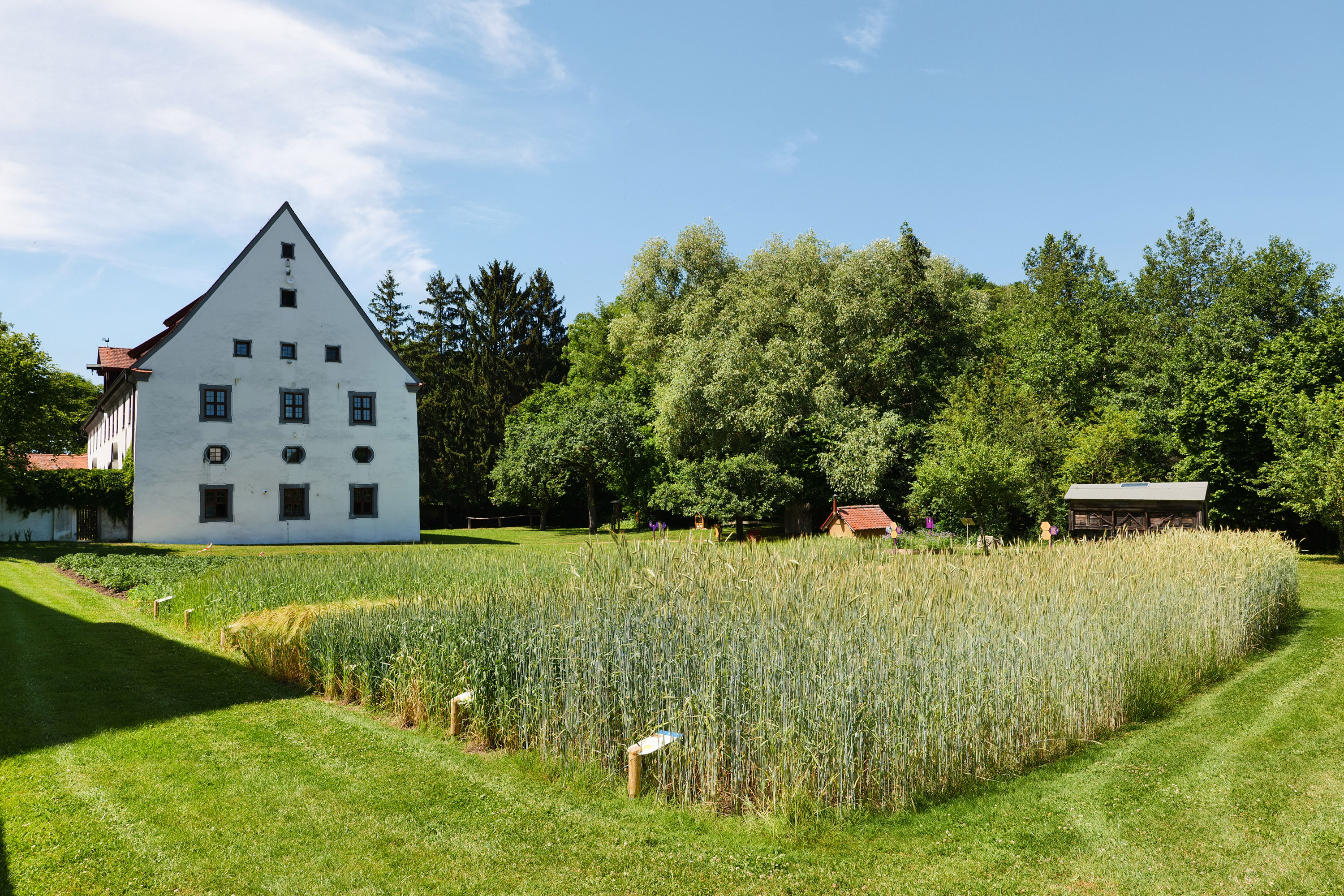 Von alten Sorten und Honigbienen - Öffentliche Führung im Museum KulturLand Ries