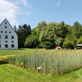 Blick in den Museumsgarten - Foto: Matthias Meyer, Museum KulturLand Ries