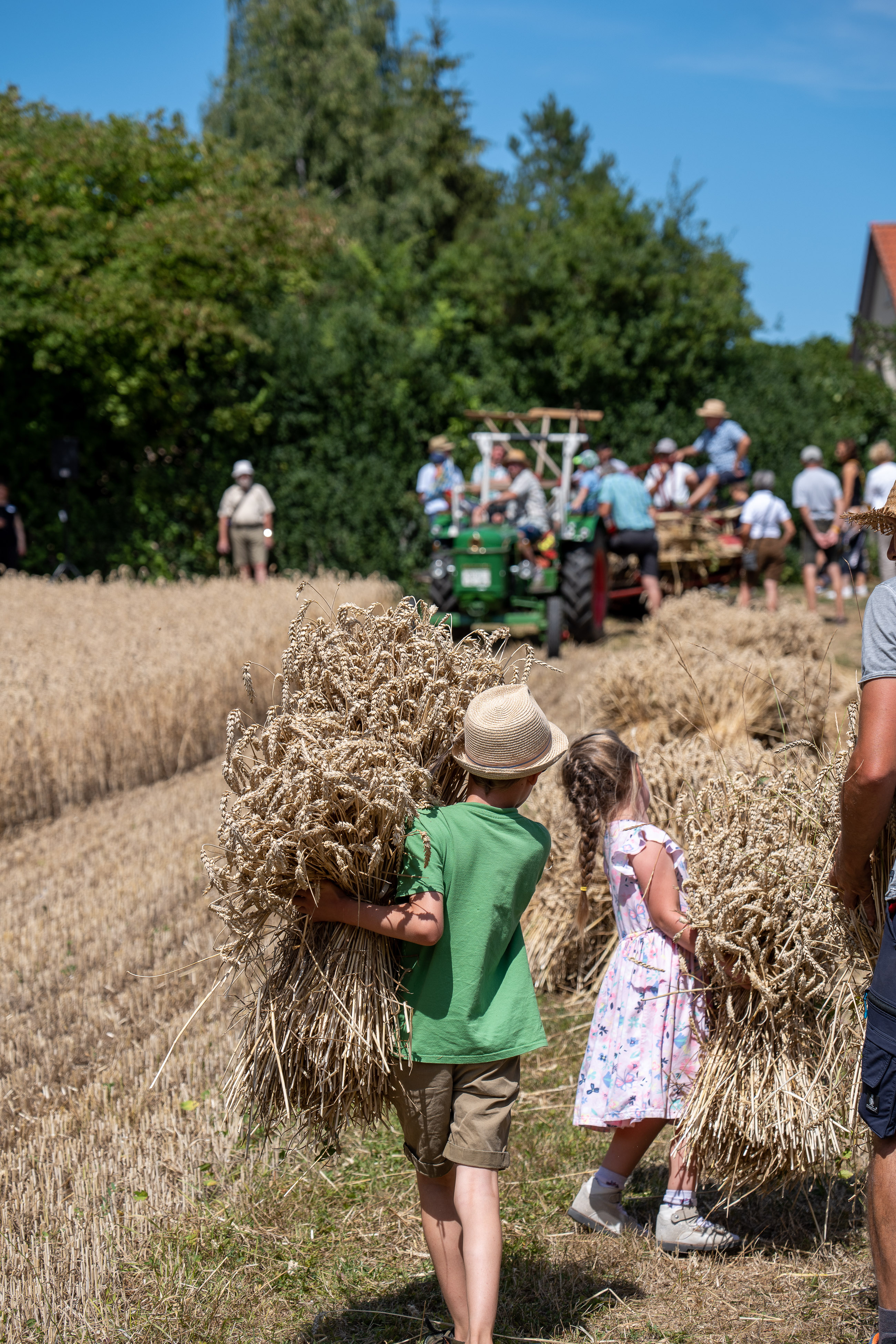 Klein und Groß dürfen beim Schnitterfest mit anpacken - Foto: Matthias Meyer, Museum KulturLand Ries