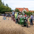 Mit dem historischen Mähbinder wird das Getreide auf dem Museumsfeld geerntet - Foto: Matthias Meyer, Museum KulturLand Ries