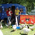 Tierisch ging es beim Zirkus Liberta (Freiheit) von Dieter und Brigitte Schetz aus Immenstadt zu. Die zahlreichen Zuschauerinnen und Zuschauer waren begeistert. - Foto: Georg Schalk