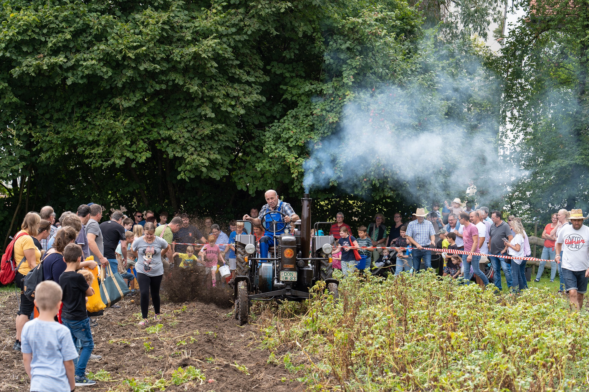 Ein Höhepunkt des Festes ist das Kartoffelroden und -klauben auf dem Museumsfeld. Fotograf Matthias Meyer