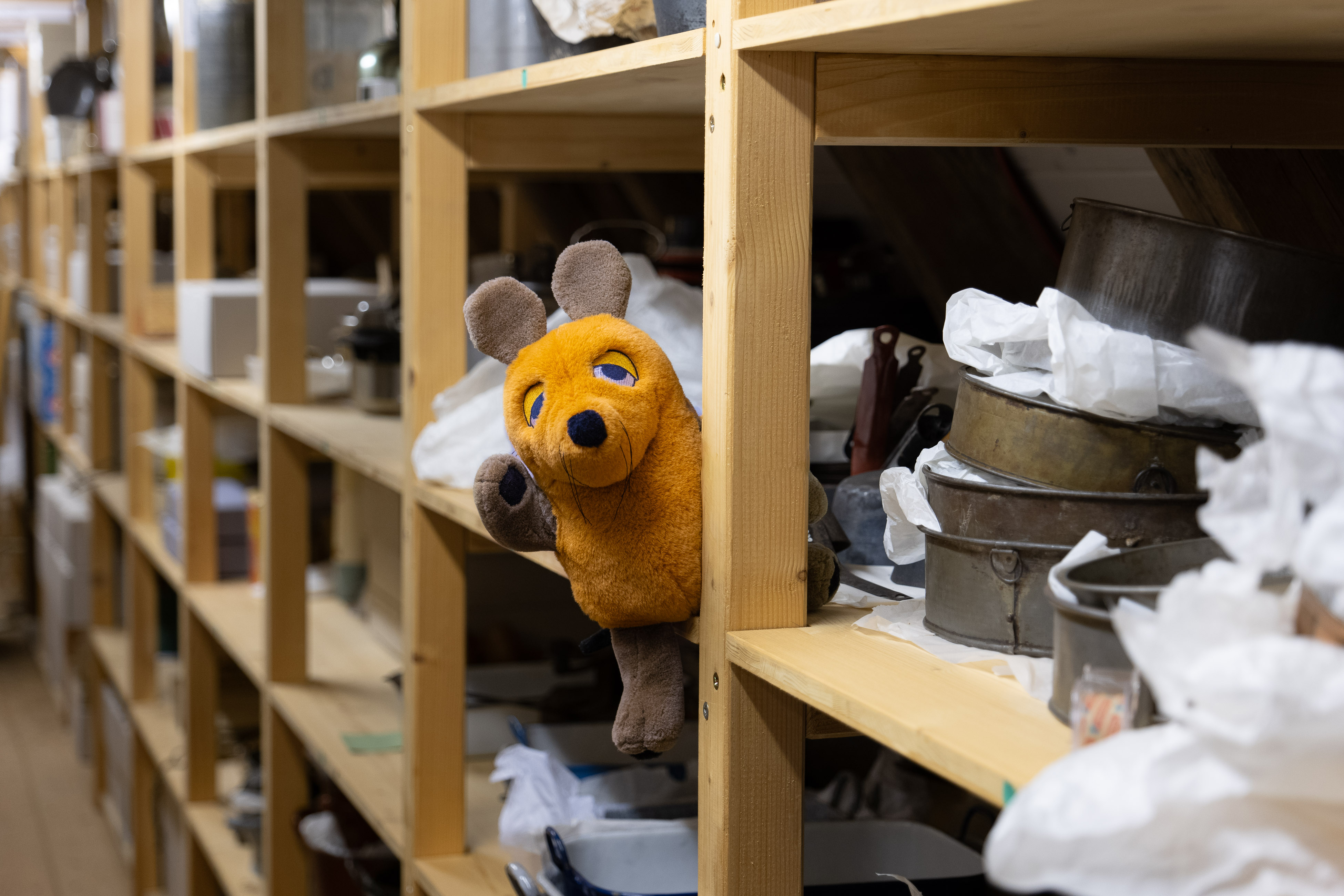 Die Maus im Depot des Museum KulturLand Ries