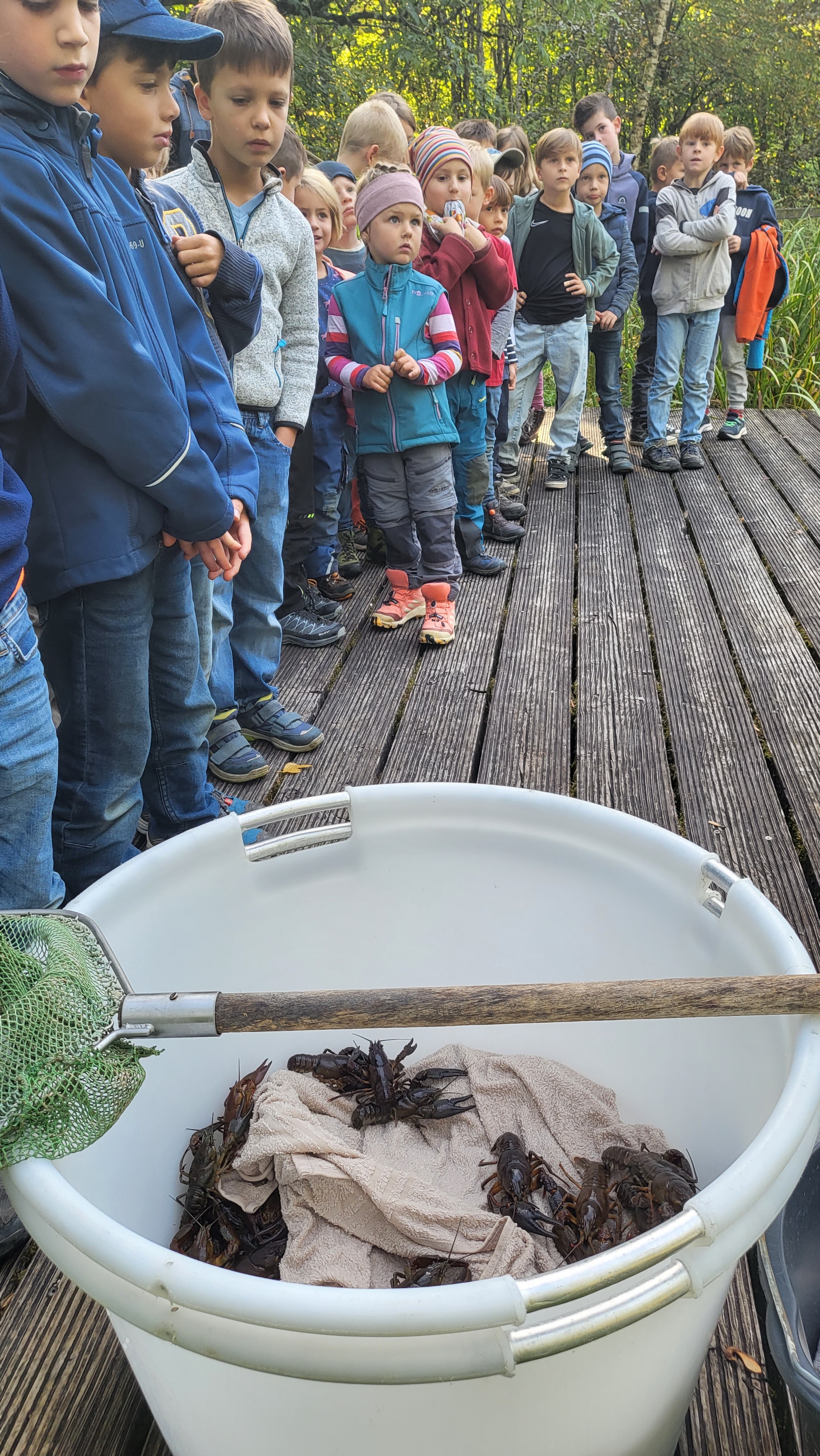 Biologiestunde im Freien in Kloster Irsee Zweitklässler und Kindergartenkinder begeistert: Fischereihof Salgen setzt Edelkrebse in den Irseer Klosterweiher 