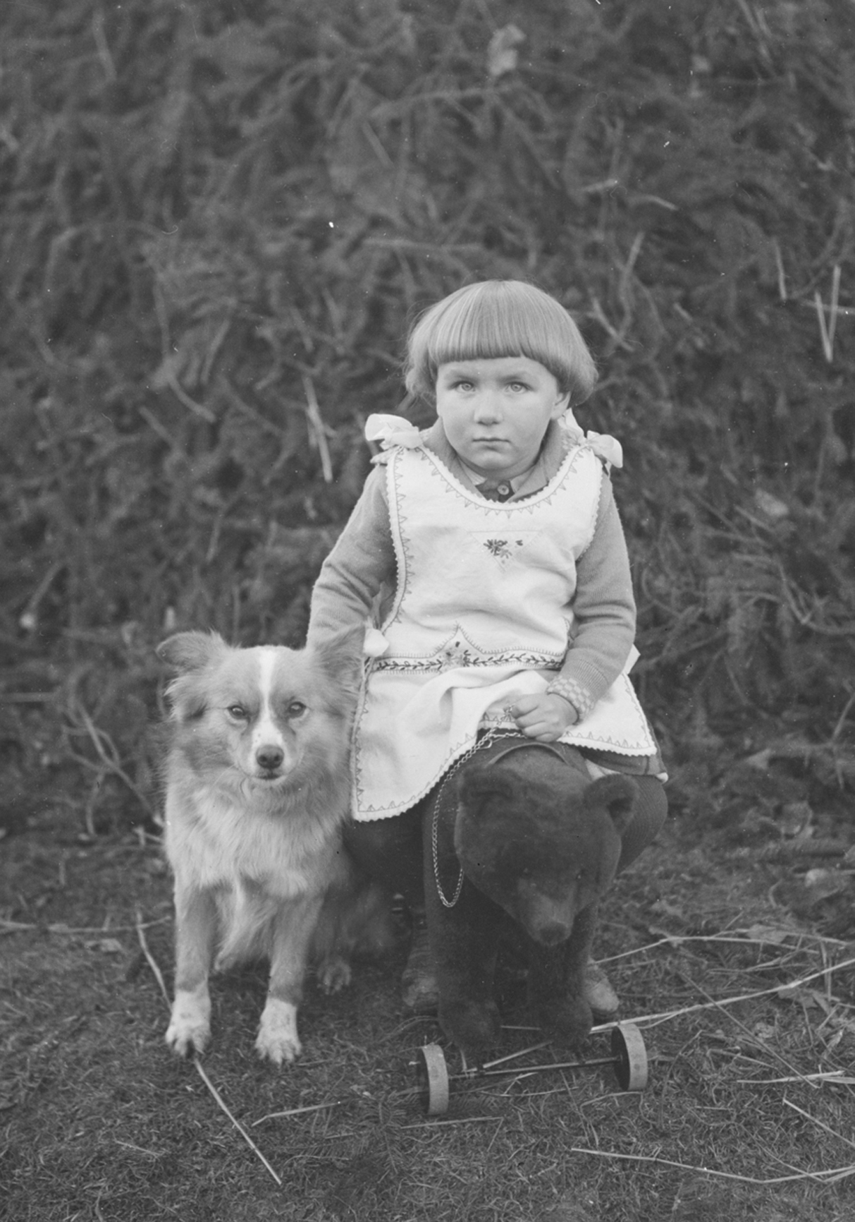 Führung in der Sonderausstellung Zum Fressen gern? Tiere und ihre Menschen