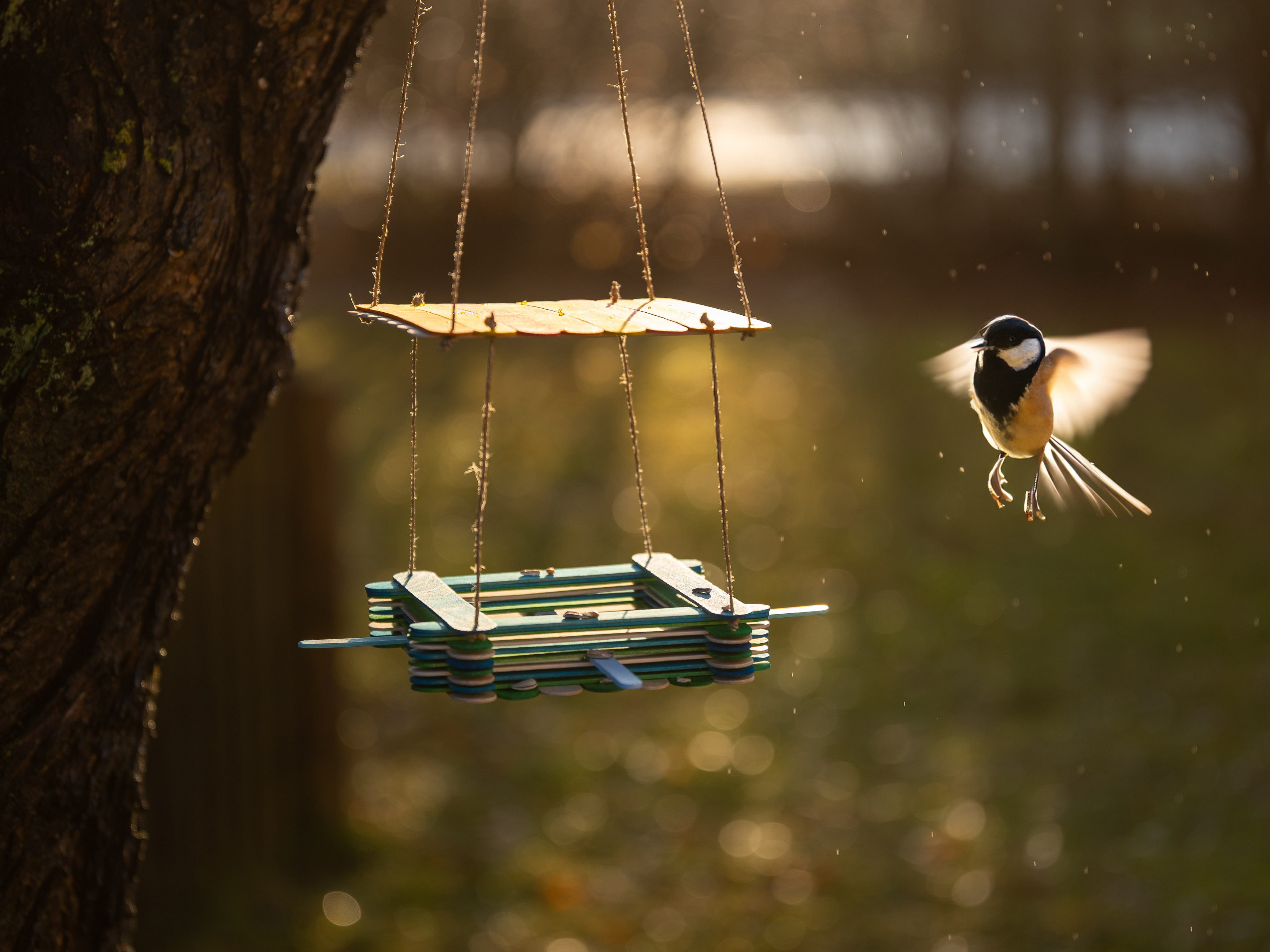 Vogelfutterstation selbstgemacht!
