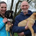 Eva Schmuck und Chris Häuplik, beide Mitarbeiter in der Ergotherapie der Forensischen Klinik des BKH Kaufbeuren, mit zwei der zehn Hundewelpen auf dem Arm. - Foto: Georg Schalk, Bezirkskliniken Schwaben