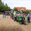 Mit dem historischen Mähbinder wird das Getreide auf dem Museumsfeld geerntet - Foto: Matthias Meyer, Museum KulturLand Ries