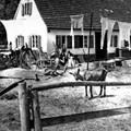 Anwesen in Irsee - Foto: Hedda Reidt