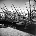 Segelboote am Hafen (Palermo), um 1930/35 - Foto: Hedda Reidt