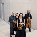 Das Minguet Quartett - Foto: Irène Zandel