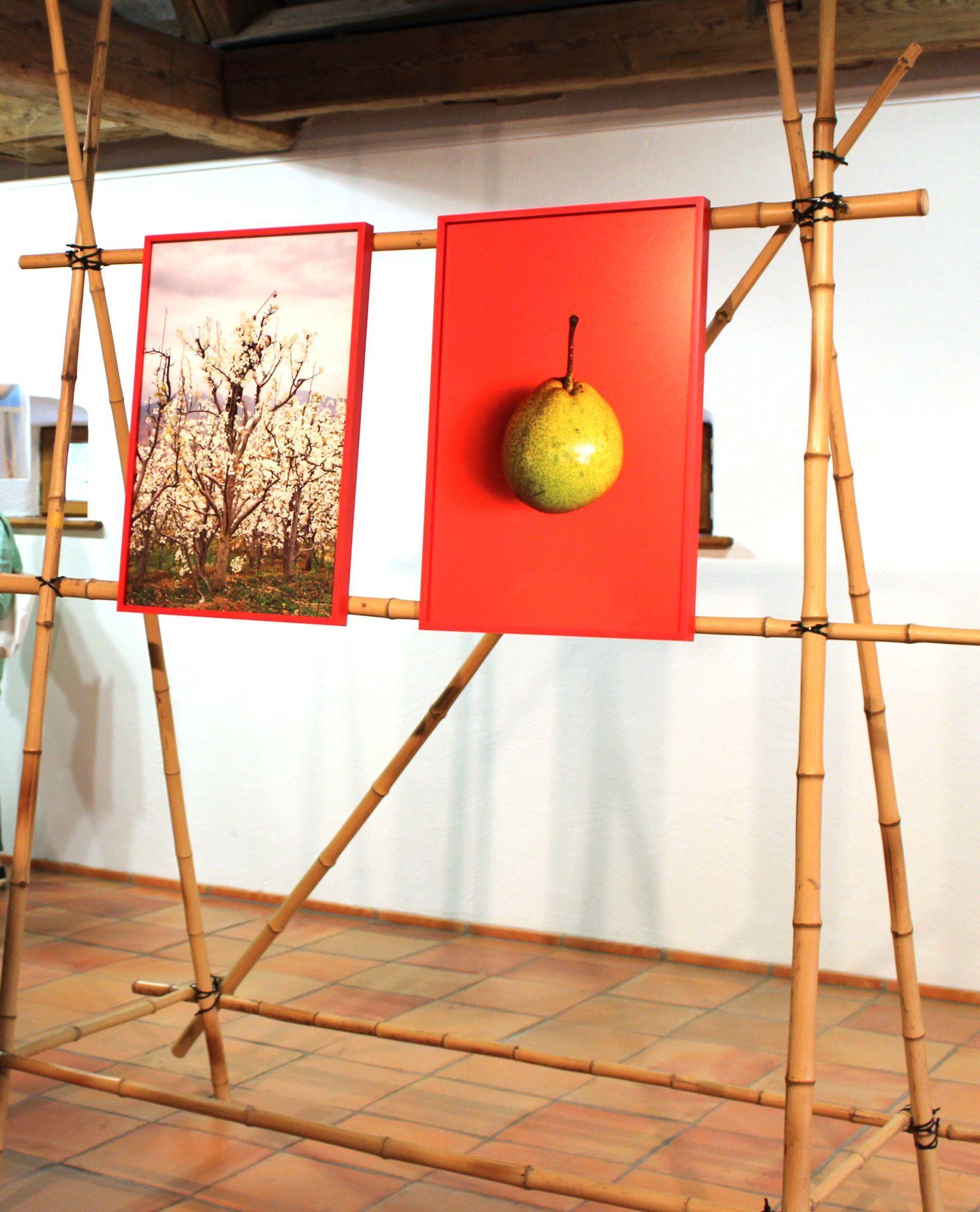 Jetzt bewerben: Bezirk Schwaben sucht junge Kunstschaffende unter 35 für seinen Kunstpreis 