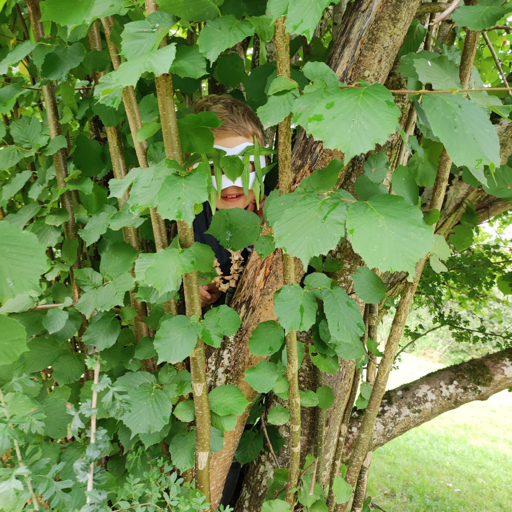 Kind, im Busch versteckt