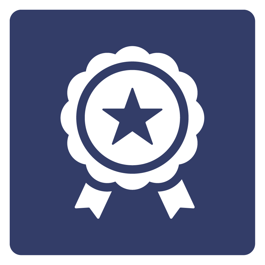 Icon Auszeichnung