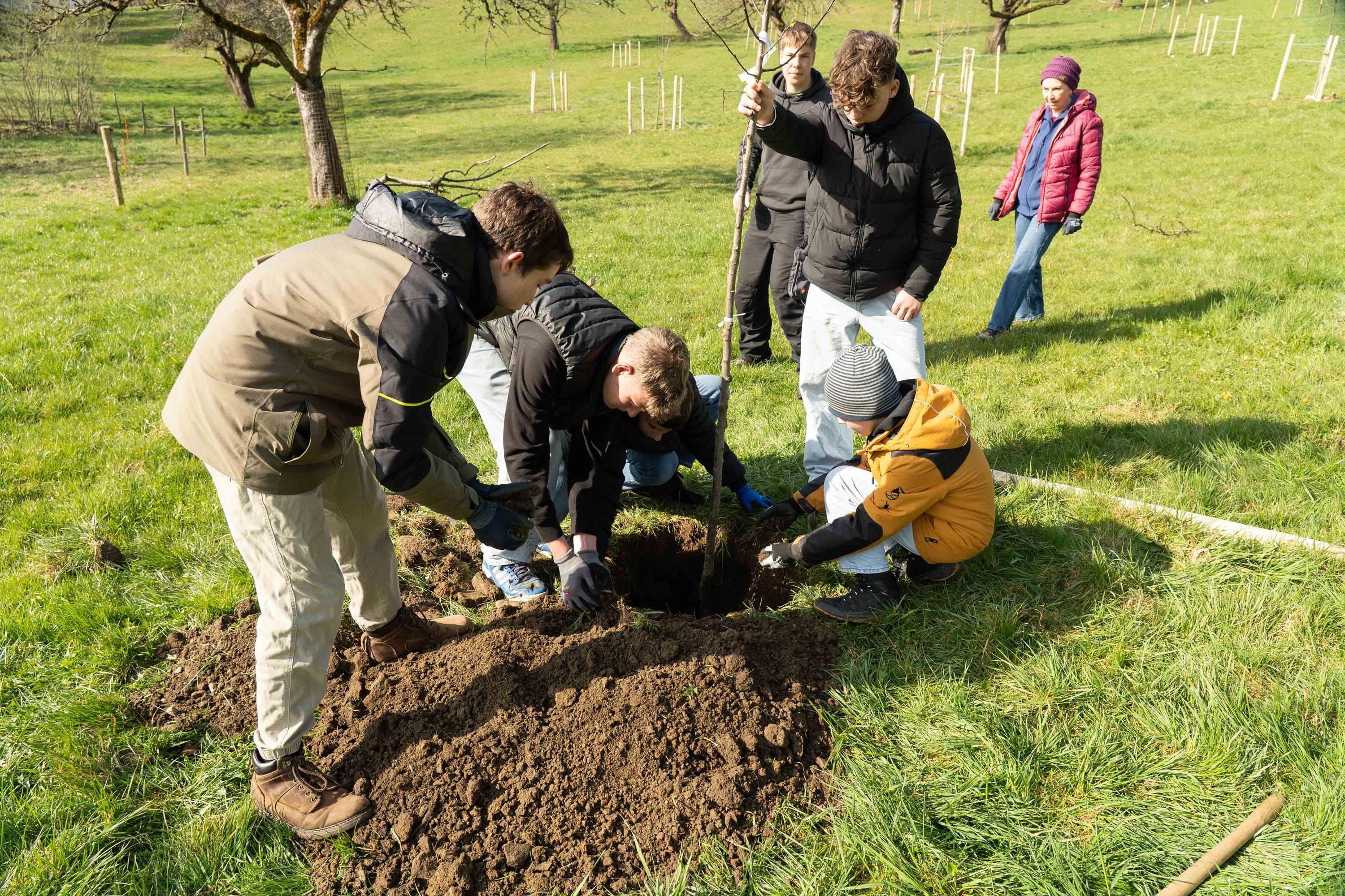 Pflanzaktion am Kaufbeurer Kaiserweiher – Bezirk Schwaben setzt sich mit Schülerinnen und Schülern für die Biodiversität im Allgäu ein