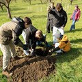 Schüler/-innen des Jakob-Brucker-Gymnasiums pflanzen junge Obstbäume an der 100 Jahre alten Streuobstwiese am Kaiserweiher. - Foto: Sven Borsdorf, Bezirk Schwaben