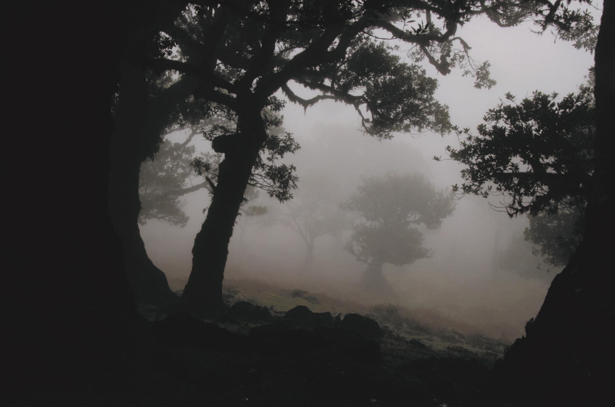 Hauch/breath, Videoinstallation, 2014, Auflage: 5+1 - Foto: Karen Irmer