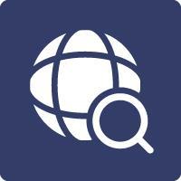 Icon - Website