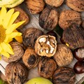 Herbstliche Ernte - Foto: Matthias Meyer, Museum KulturLand Ries
