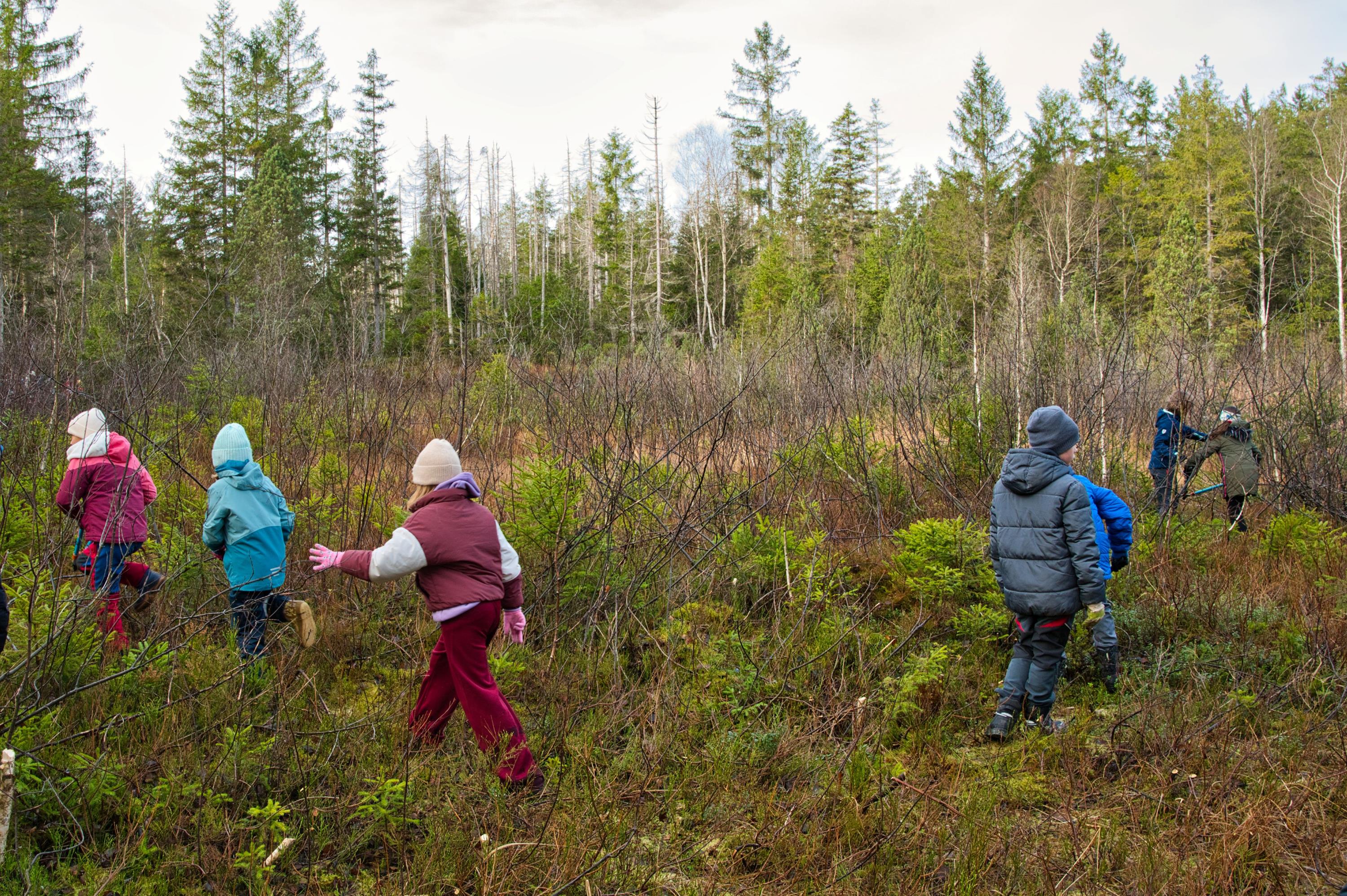 Bezirk Schwaben lädt zum Umweltpreis 2026 ein