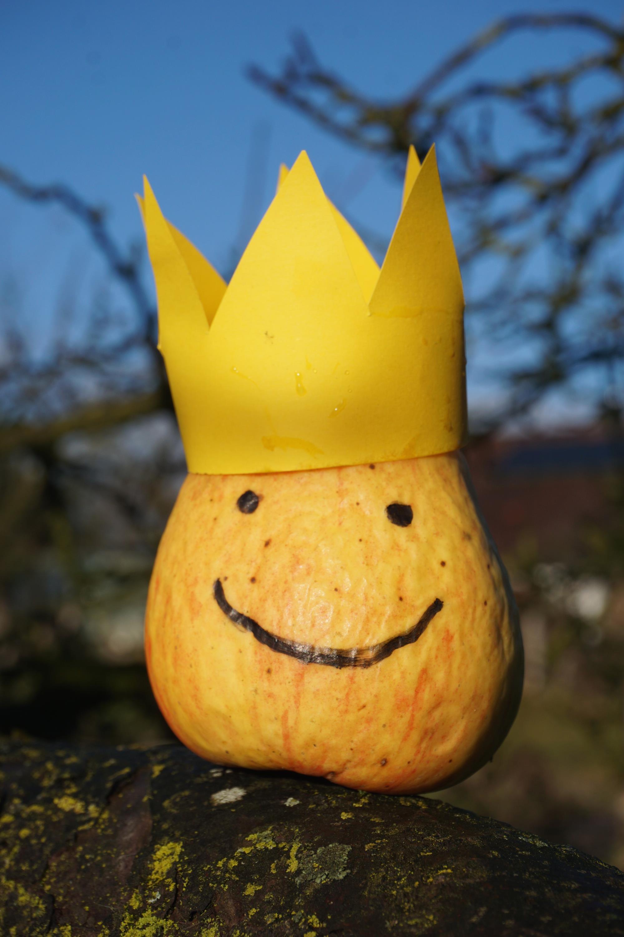 Bezirk Schwaben lädt zum Umweltpreis 2026 ein