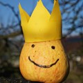Die „Obstsorten-Arche Bedernau“ setzt sich für den Erhalt von Apfel- Birnen-, und Zwetschgenbäumen mit bekannten und unbekannten Sorten ein. - Foto: Thea Zedelmeier