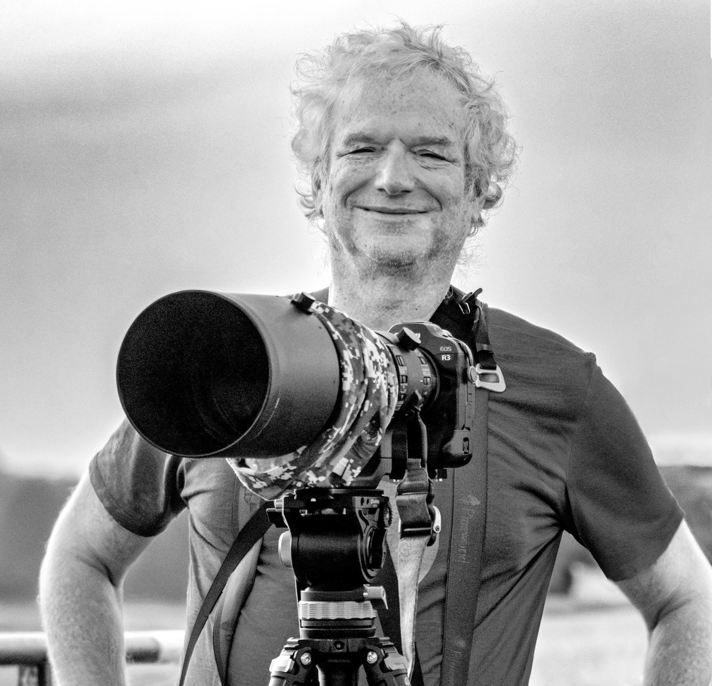 Fuchs Ran Porträtfoto