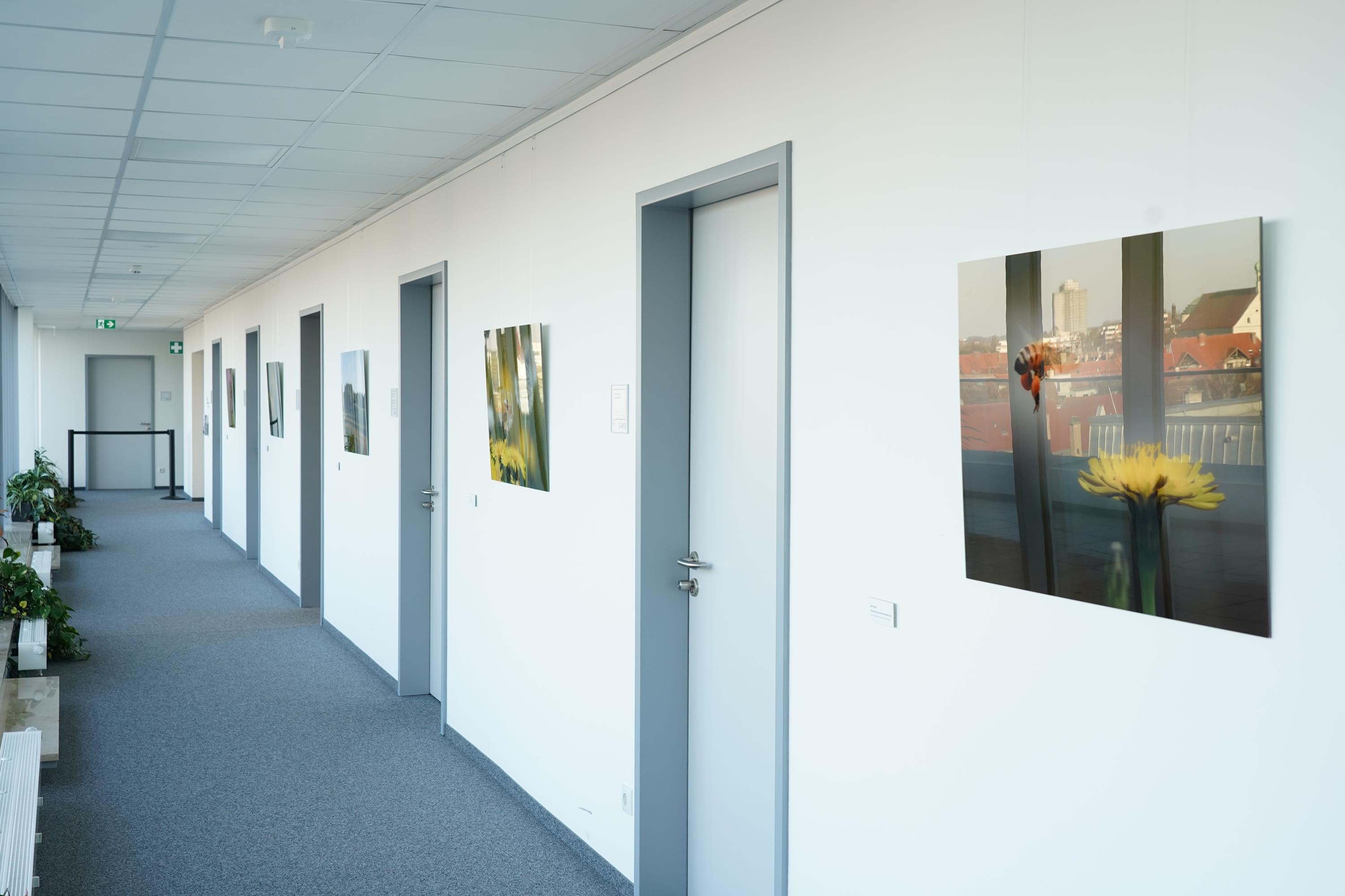 Leider haben wir keinen Alternativtext zu diesem Bild, aber wir arbeiten daran.