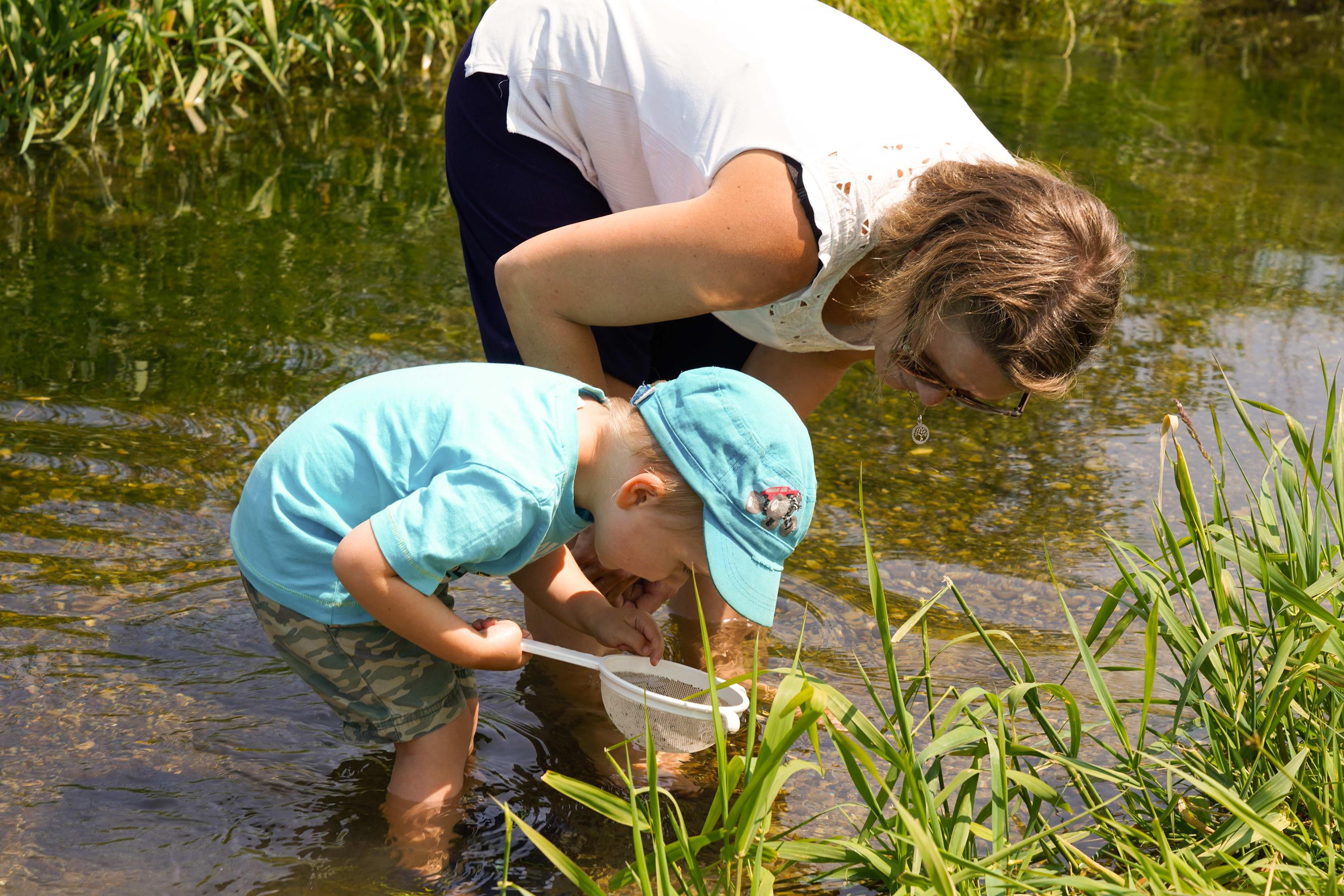 Schwabens Unterwasserwelt erleben beim Tag der offenen Tür im Fischereihof Salgen 