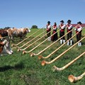 Alphorn-Bläserinnen und -bläser aus Walkertshofen (Landkreis Augsburg) 1 Foto: Wolfgang Kleiner