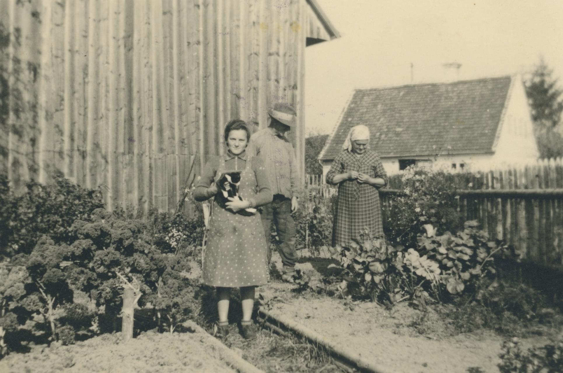 In Schwaben verwurzelt: Bezirksheimatpflege gestaltet Ausstellung zur Geschichte des Obst- und Gartenbaus 