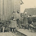 altes Bild von Menschen in einem Gemüsebeet vor einem Haus