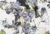 Ausstellung MAPPING NATURE in Augsburg