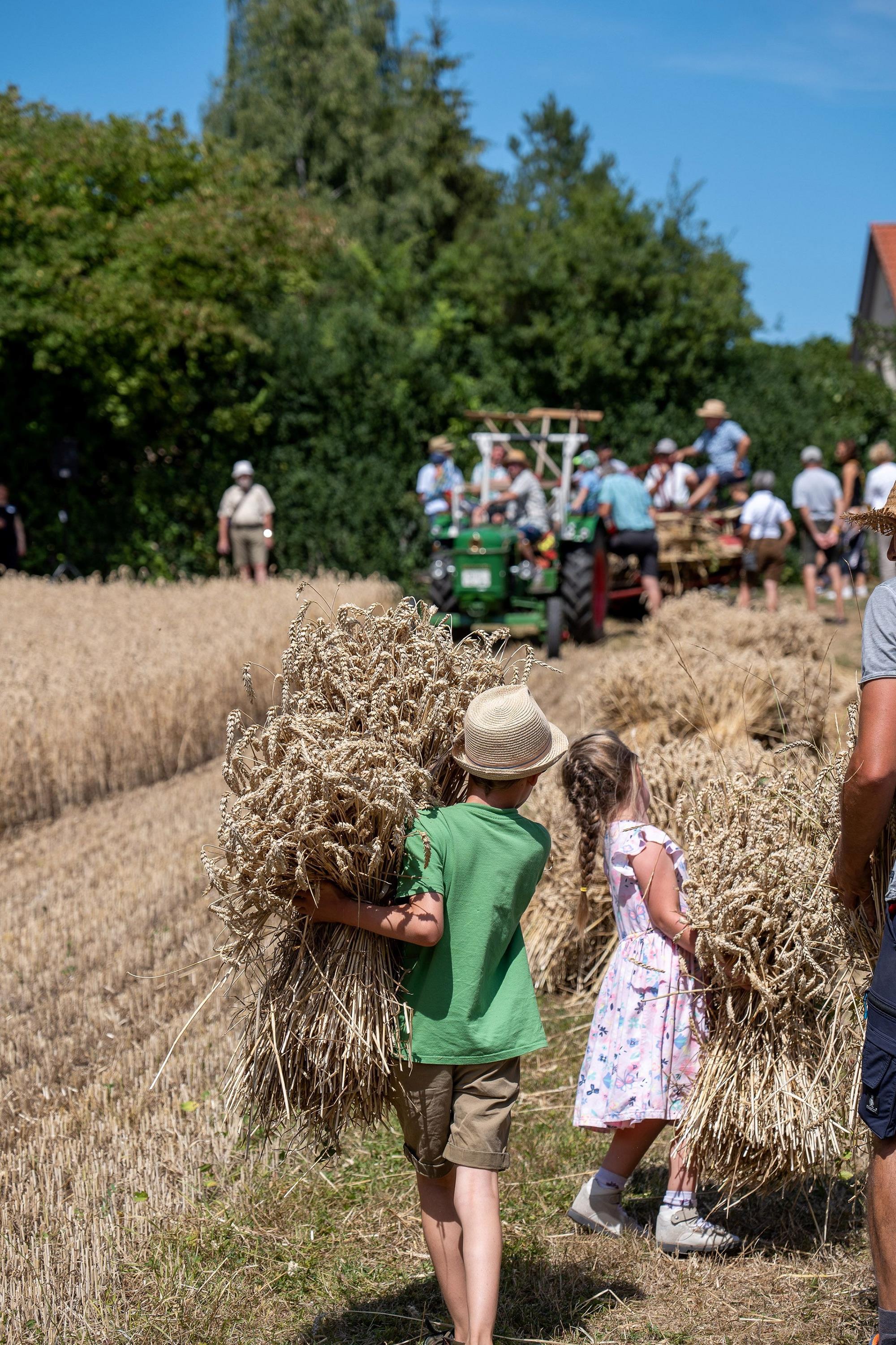 Schnitterfest im Museum KulturLand Ries