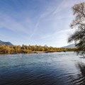 Schwabens Natur erhalten – Dafür lobt der Bezirk Schwaben seinen Umweltpreis aus. - Foto: Martin Augsburger