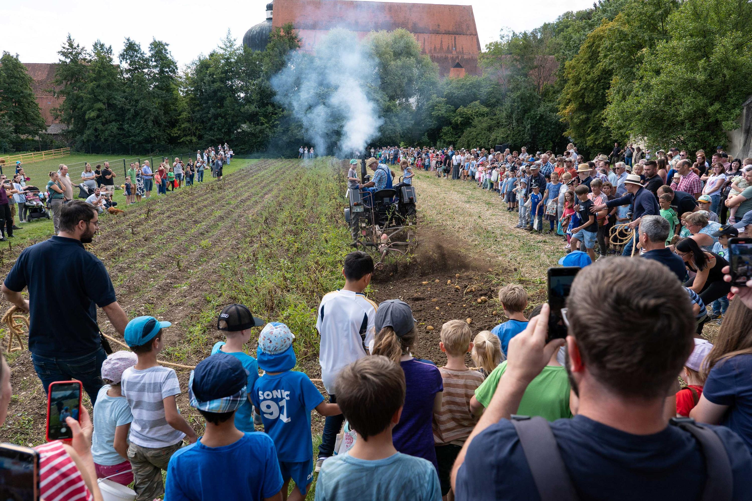 Rund um die Knolle: Kartoffelfest in Maihingen