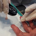 Die Messung des Blutzuckerspiegels, zahlreiche weitere Tests und Vorträge gab es beim Gesundheitstag.