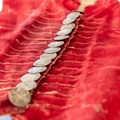 Eine rote Weste mit Silberknöpfen
