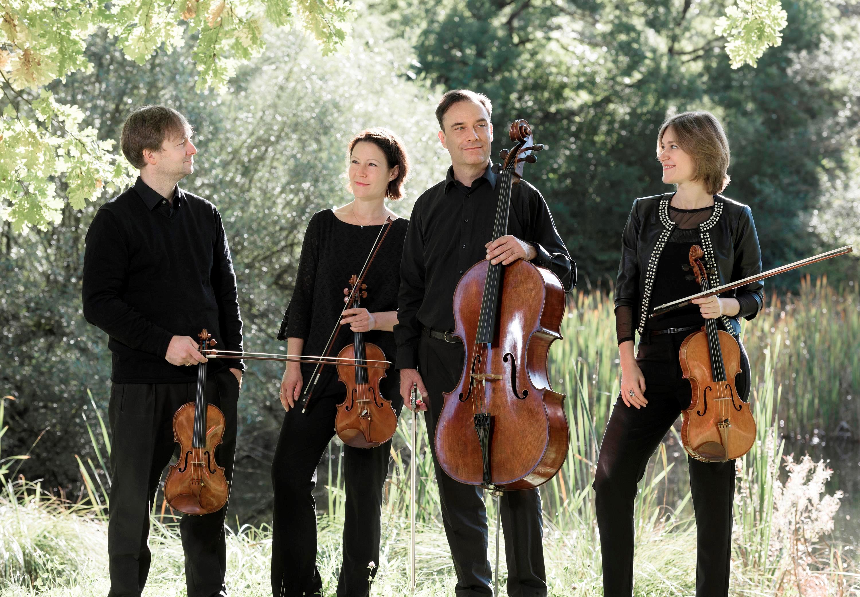 Ein Jahr mit Beethoven: Diogenes Quartett