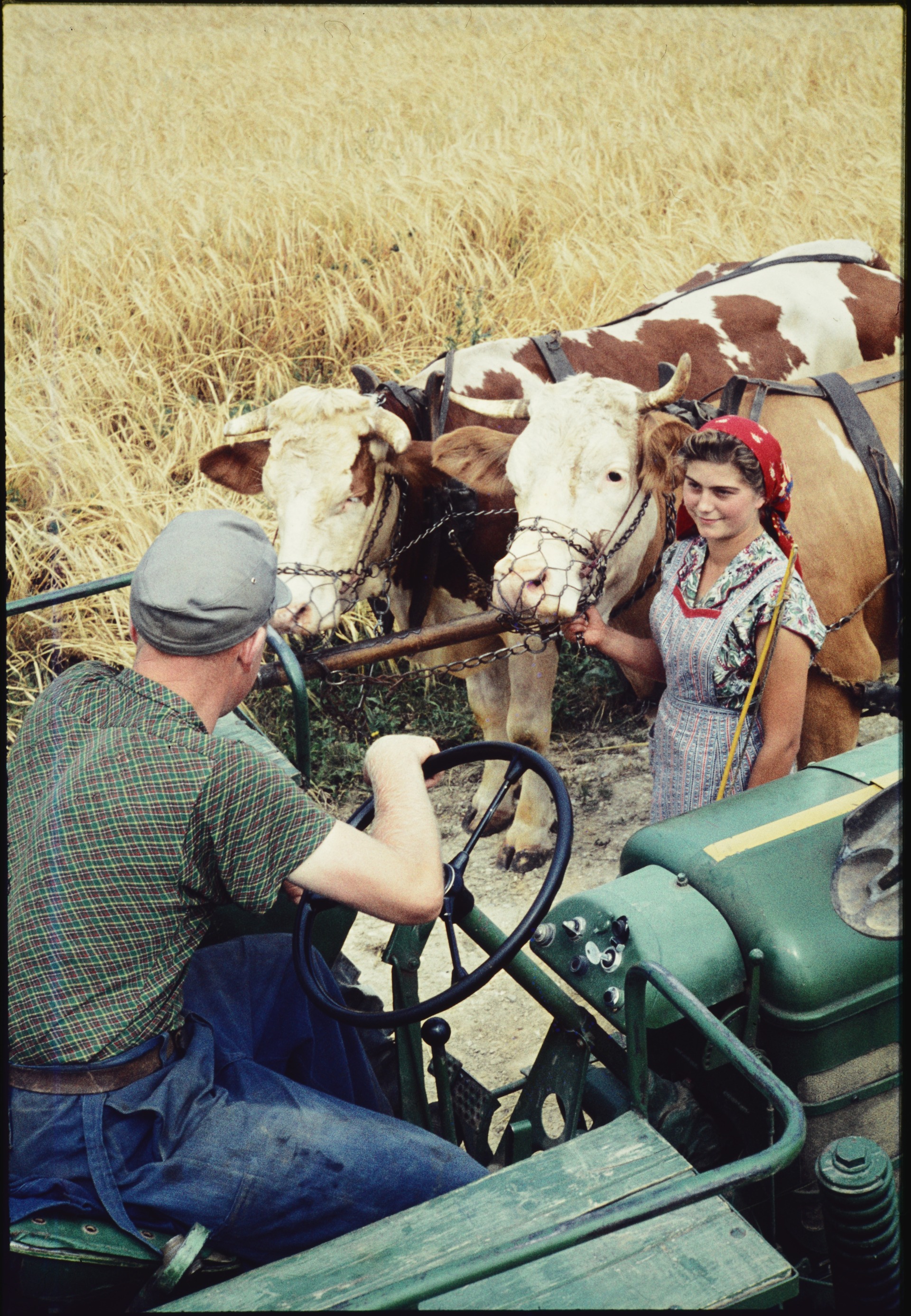 Foto der Sonderausstellung Auslöser Ries!