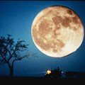 Mond