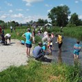 Jedes Jahr kommen mehr Besucher zum Tag der offenen Tür am Schwäbischen Fischereihof in Salgen. Ganze Familien tummeln sich bei der Bachsafari am Wasser.