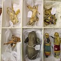 Ordnung muss sein: Krippenfiguren und andere Ausstellungsstücke werden gut sortiert aufbewahrt