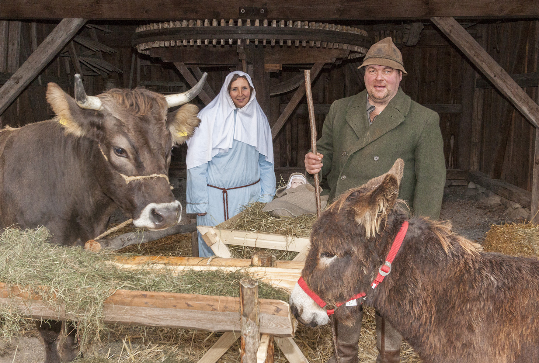 Stimmungsvoll in den Advent beim Familientag in Illerbeuren