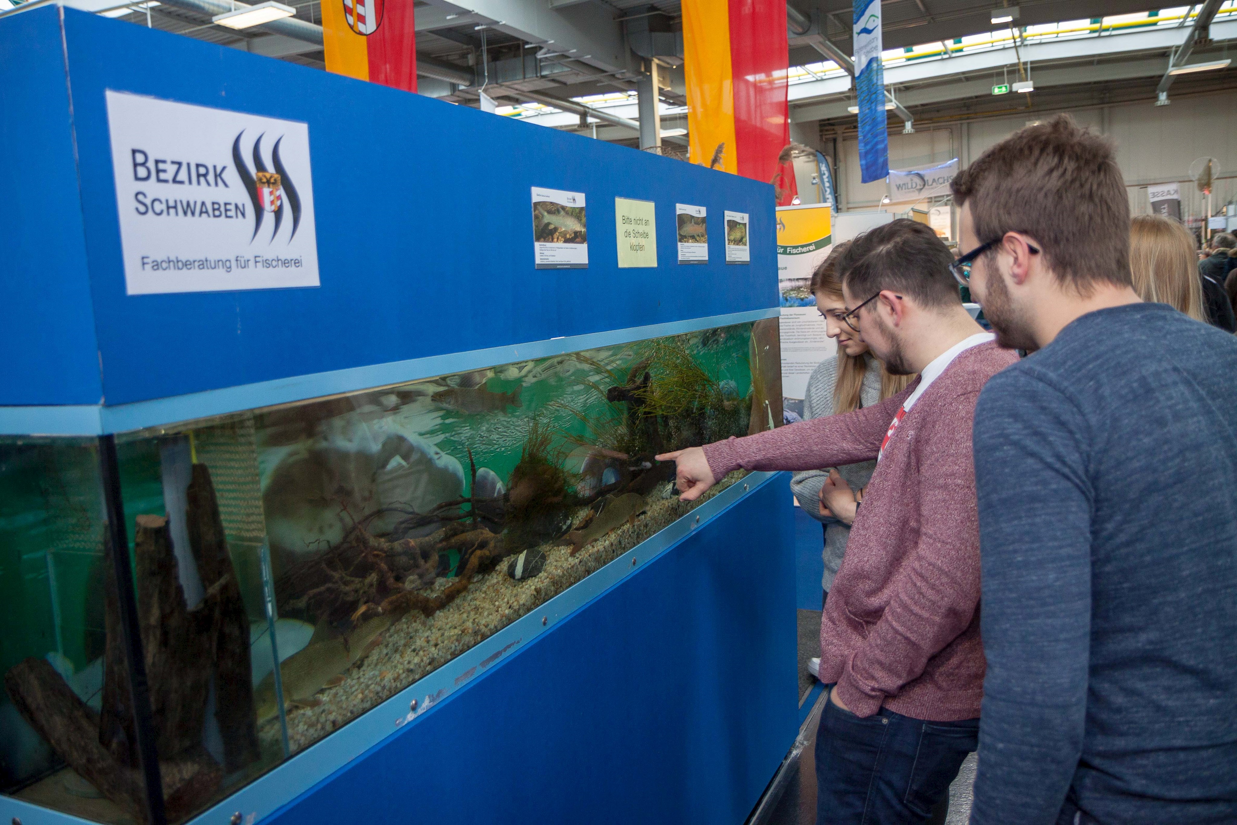 Noch nie habe ich einen Bach von der Seite gesehen, freute sich eine Besucherin in Bezug auf die Aquarienausstellung der Fischereifachberatung.