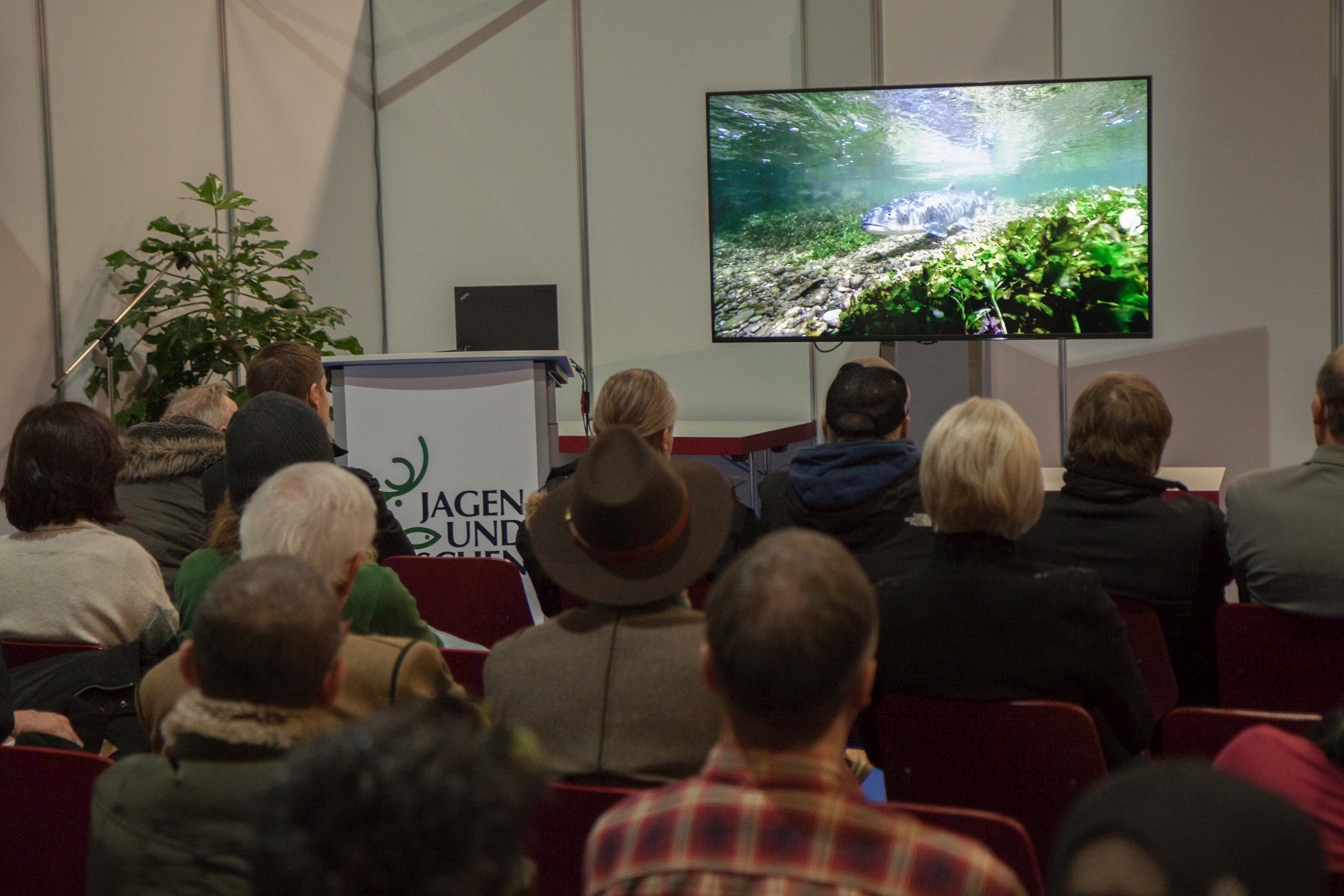 Der Film Der Donaulachs kehrt zurück, der bei der Messe uraufgeführt wurde, zeigt mit teils spektakulären Aufnahmen, wie die Fischereifachberatung versuchtn den Huchen wieder in den schwäbischen Flüssen anzusiedeln.